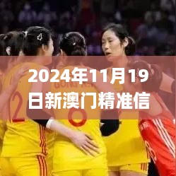 2024年11月19日新澳门精准信息解读与方案优化_TUG5.78.89稀缺版