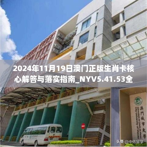 2024年11月19日澳门正版生肖卡核心解答与落实指南_NYV5.41.53全球版