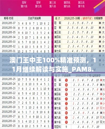 澳门王中王100%精准预测，11月继续解读与实施_PAM8.59.26程序版