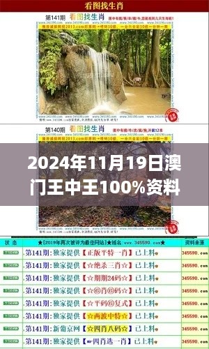 2024年11月19日澳门王中王100%资料系统化验证解析_WSP4.55.36定制版