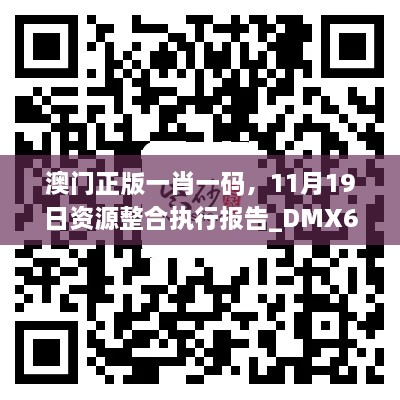 澳门正版一肖一码，11月19日资源整合执行报告_DMX6.18.51网络版