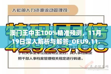 澳门王中王100%精准预测，11月19日深入解析与解答_OEU9.11.28摄影版