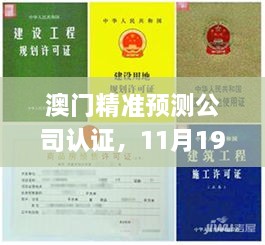 澳门精准预测公司认证，11月19日详尽评估解析计划_EMN6.35.67动感版