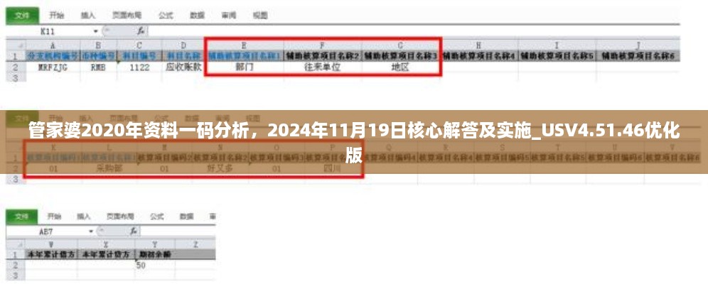 管家婆2020年资料一码分析，2024年11月19日核心解答及实施_USV4.51.46优化版