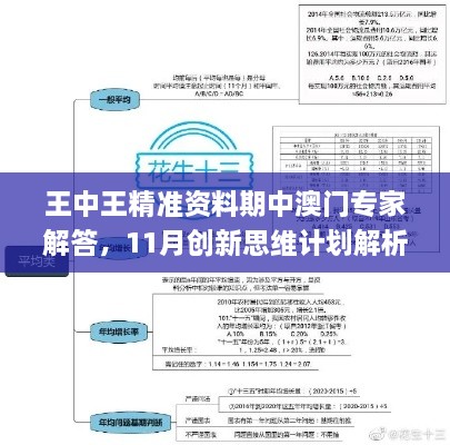 王中王精准资料期中澳门专家解答，11月创新思维计划解析_AFG7.17.81版