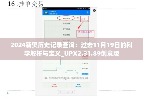 2024新奥历史记录查询：过去11月19日的科学解析与定义_UPX2.31.89创意版