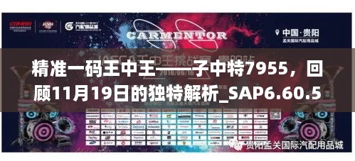 精准一码王中王——子中特7955，回顾11月19日的独特解析_SAP6.60.54极速版