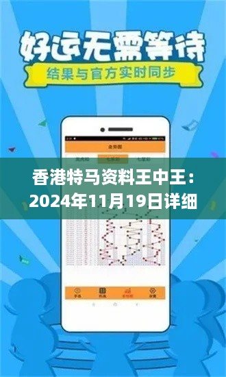 香港特马资料王中王：2024年11月19日详细解析与解答方案_WYN4.73.34并行版