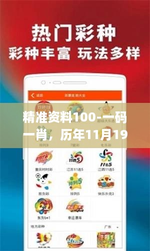 精准资料100-一码一肖，历年11月19日解答稳定确保_TZX8.78.55复刻版