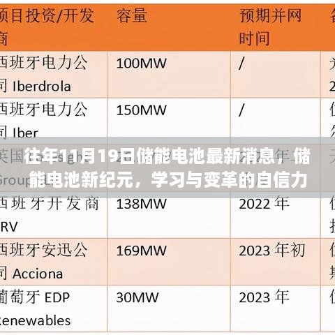 储能电池新纪元，变革的力量塑造未来之星，学习与变革铸就未来储能电池新进展