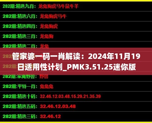 管家婆一码一肖解读：2024年11月19日适用性计划_PMK3.51.25迷你版