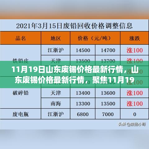 11月19日山东废锡价格行情分析，最新市场动态与行业焦点