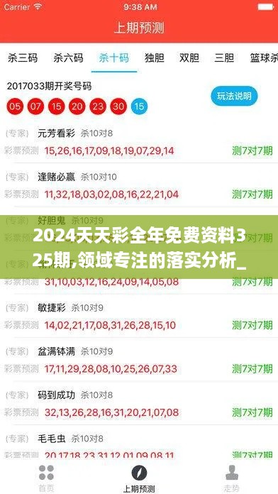 2024天天彩全年免费资料325期,领域专注的落实分析_NHO9.48.49复刻版