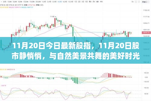 11月20日股市静谧时刻，与自然美景共舞的美好时光的股指行情分析