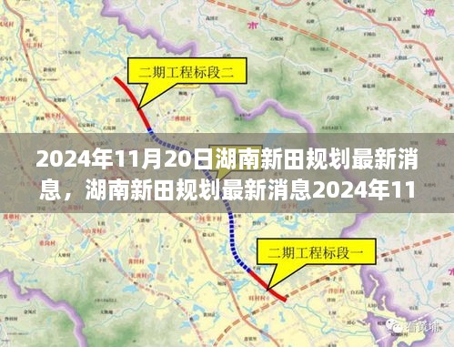 湖南新田规划动态，最新消息关注指南（2024年11月20日）