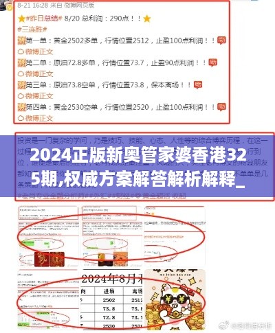 2024正版新奥管家婆香港325期,权威方案解答解析解释_GMR7.13.53改制版