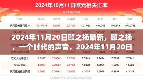 顾之扬，时代之声的回响——2024年11月20日最新动态