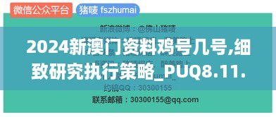 2024新澳门资料鸡号几号,细致研究执行策略_PUQ8.11.83娱乐版