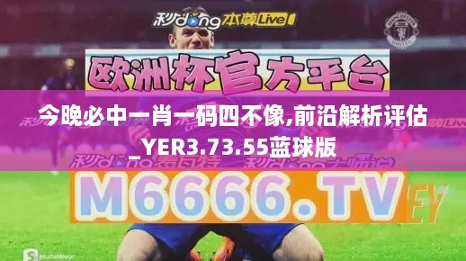 今晚必中一肖一码四不像,前沿解析评估_YER3.73.55蓝球版