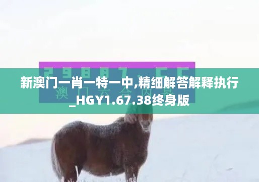 新澳门一肖一特一中,精细解答解释执行_HGY1.67.38终身版