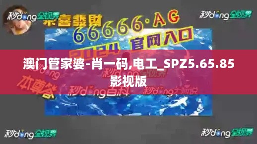 澳门管家婆-肖一码,电工_SPZ5.65.85影视版