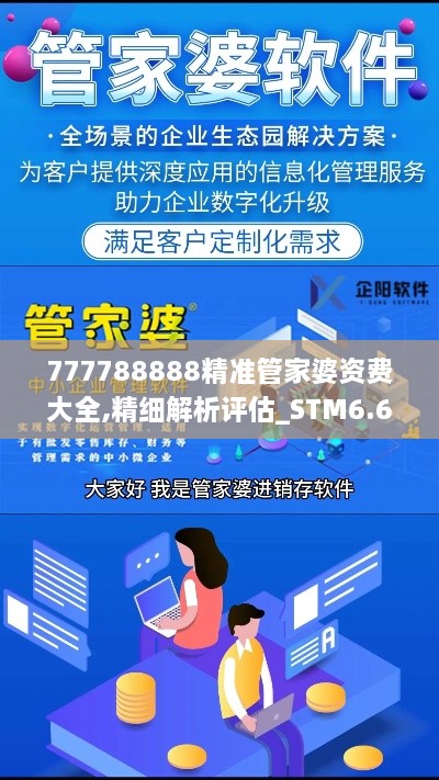 777788888精准管家婆资费大全,精细解析评估_STM6.67.21专属版