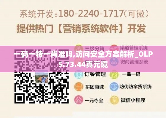 一码一特一肖准吗,访问安全方案解析_OLP5.73.44真元境