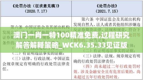 澳门一肖一特100精准免费,过程研究解答解释策略_WCK6.35.33见证版