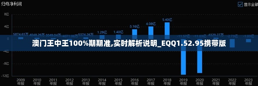 澳门王中王100%期期准,实时解析说明_EQQ1.52.95携带版