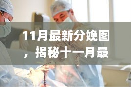 11月最新分娩图，揭秘十一月最新分娩图，背景、事件、影响与时代地位