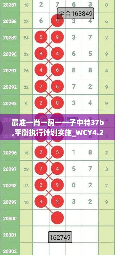 最准一肖一码一一子中特37b,平衡执行计划实施_WCY4.21.87日常版