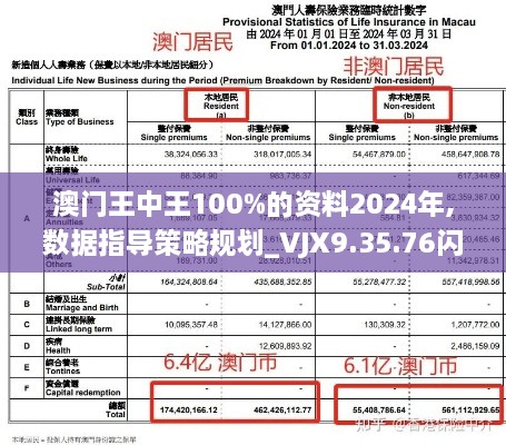 澳门王中王100%的资料2024年,数据指导策略规划_VJX9.35.76闪电版