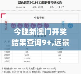 今晚新澳门开奖结果查询9+,远景解答实施解释_QAH9.32.49愉悦版