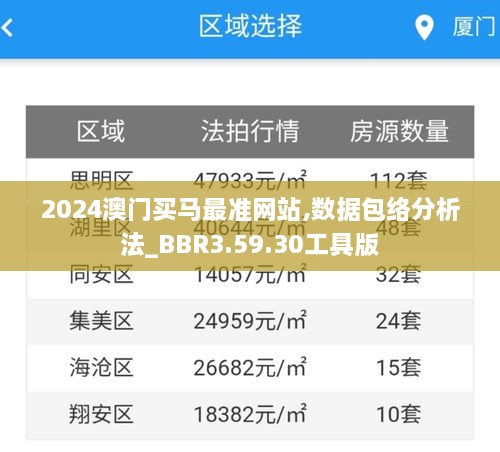 2024澳门买马最准网站,数据包络分析法_BBR3.59.30工具版