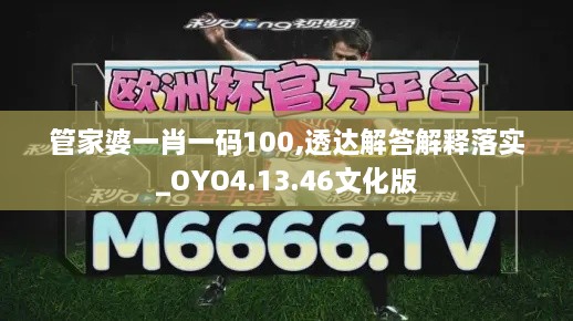 管家婆一肖一码100,透达解答解释落实_OYO4.13.46文化版