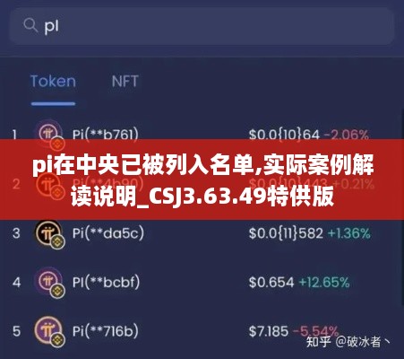 pi在中央已被列入名单,实际案例解读说明_CSJ3.63.49特供版