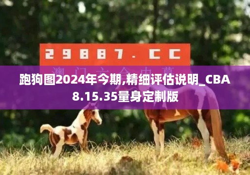 跑狗图2024年今期,精细评估说明_CBA8.15.35量身定制版