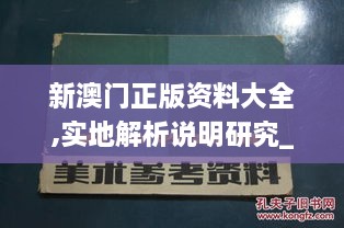 新澳门正版资料大全,实地解析说明研究_QPE1.79.77酷炫版