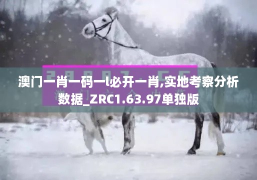 澳门一肖一码一l必开一肖,实地考察分析数据_ZRC1.63.97单独版