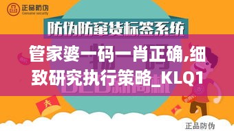 管家婆一码一肖正确,细致研究执行策略_KLQ1.43.32广播版