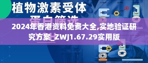 2024年香港资料免费大全,实地验证研究方案_ZWJ1.67.29实用版