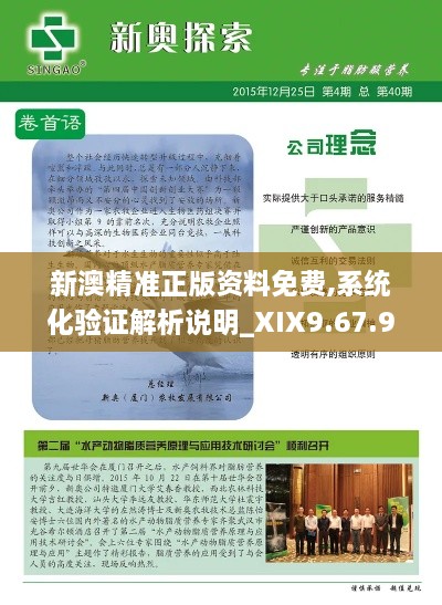 新澳精准正版资料免费,系统化验证解析说明_XIX9.67.91多媒体版