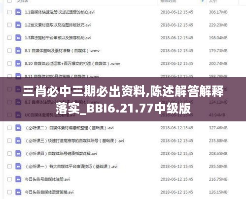 三肖必中三期必出资料,陈述解答解释落实_BBI6.21.77中级版