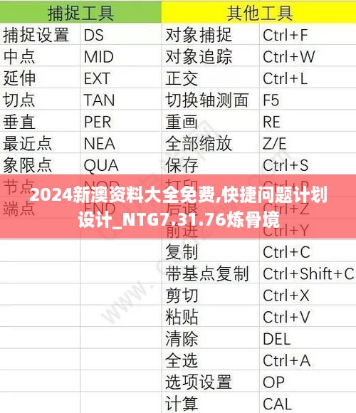 2024新澳资料大全免费,快捷问题计划设计_NTG7.31.76炼骨境