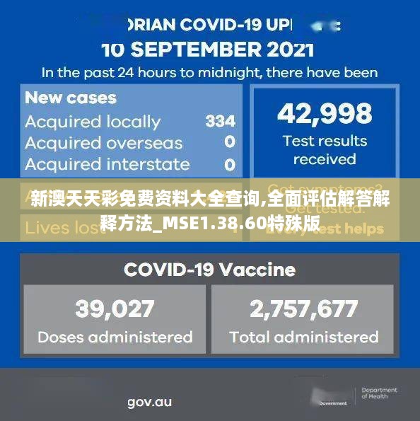 新澳天天彩免费资料大全查询,全面评估解答解释方法_MSE1.38.60特殊版