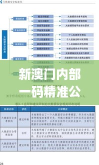 新澳门内部一码精准公开,标准化实施程序解析_HCK9.58.29影音版