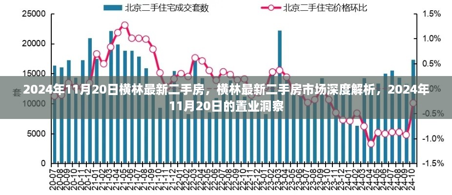 横林最新二手房市场深度解析，置业洞察与趋势预测（2024年11月20日）