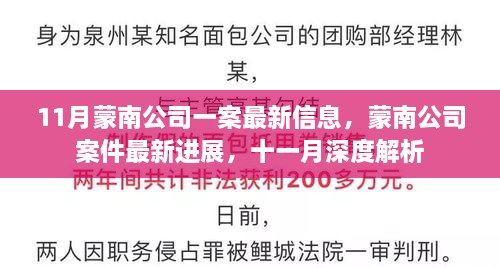 蒙南公司案件最新进展与深度解析（11月最新信息）