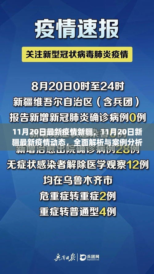 新疆疫情动态解析与案例分析，最新疫情报告（截至11月20日）