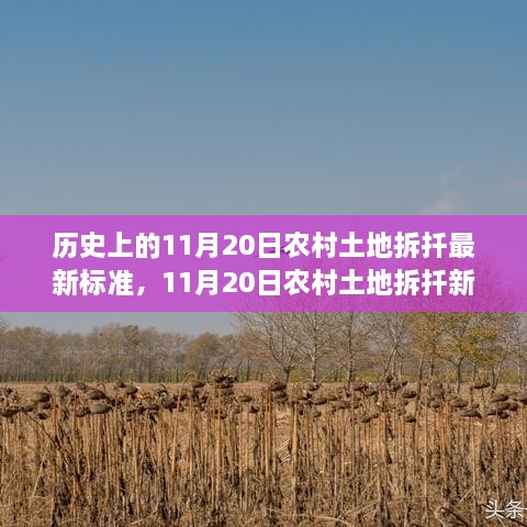 11月20日农村土地拆扦新标准，与自然美景的邂逅之旅揭秘最新拆扦标准与农村土地变革